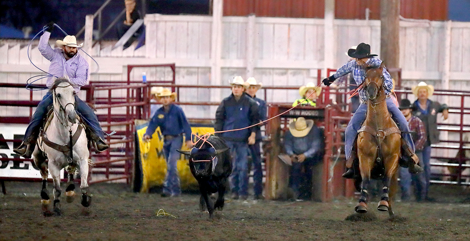 Cruze Wilson Roping Impressive Run | News, Sports, Jobs - Post Journal